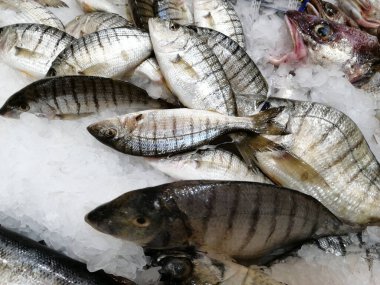 Soğutulmuş balık sazan balığı mağazanın tezgahındaki buzda yatıyor.