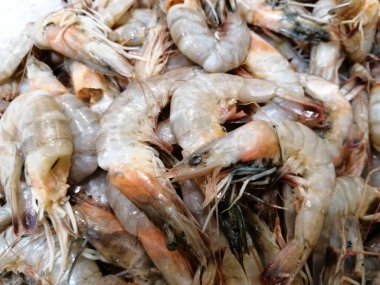 Soğutulmuş balık sazan balığı mağazanın tezgahındaki buzda yatıyor.