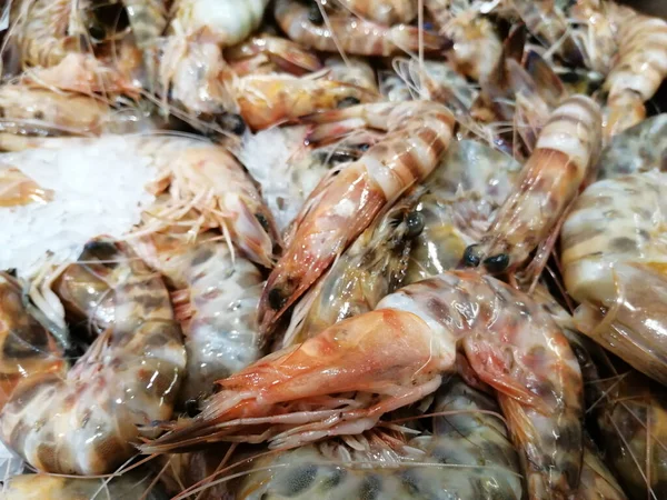 Carpa Pesce Raffreddata Giace Nel Ghiaccio Sul Bancone Del Negozio — Foto Stock