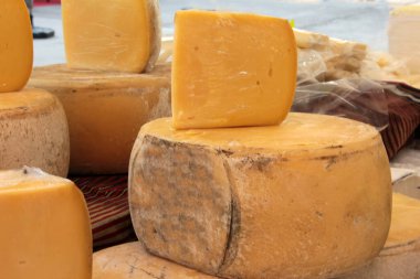 organik lezzetli taze peynir çeşitleri