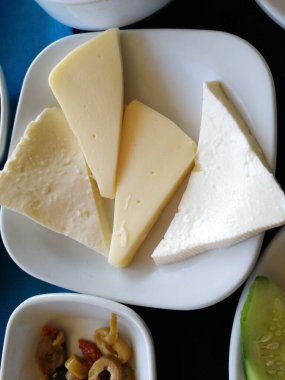 organik lezzetli taze peynir çeşitleri