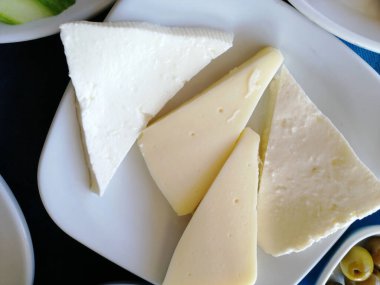 organik lezzetli taze peynir çeşitleri