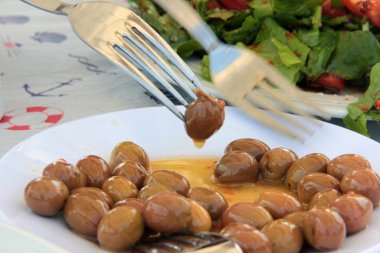 taze ve organik lezzetli zeytin çeşitleri