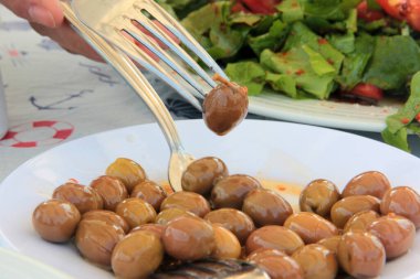 taze ve organik lezzetli zeytin çeşitleri