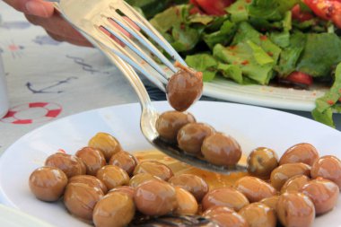 taze ve organik lezzetli zeytin çeşitleri