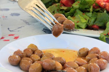 taze ve organik lezzetli zeytin çeşitleri