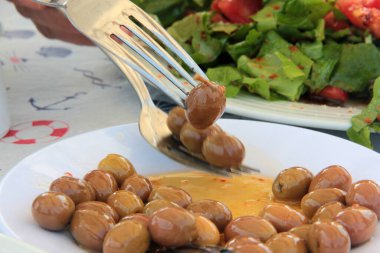 taze ve organik lezzetli zeytin çeşitleri