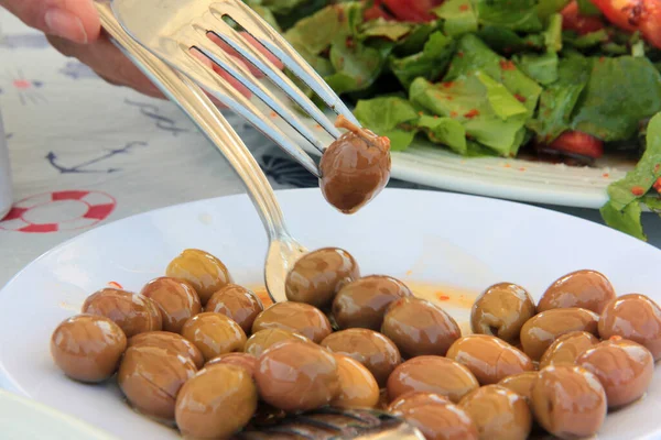 taze ve organik lezzetli zeytin çeşitleri