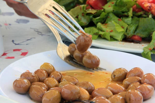 taze ve organik lezzetli zeytin çeşitleri