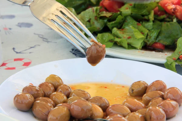 taze ve organik lezzetli zeytin çeşitleri