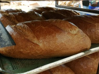 Fırından taze ve sıcak ekmek.