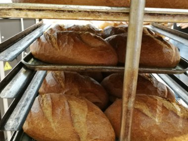 Fırından taze ve sıcak ekmek.