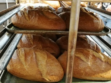 Fırından taze ve sıcak ekmek.