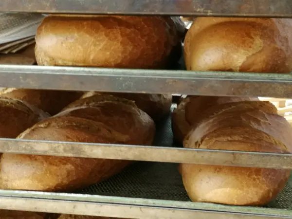 Fresh Hot Bread Oven — Stock Photo, Image