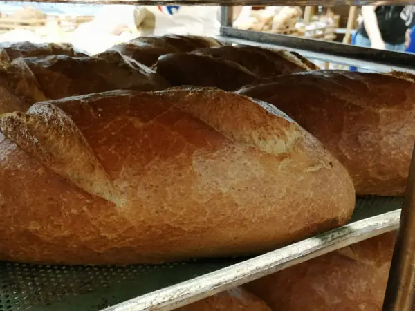 Fırından taze ve sıcak ekmek.