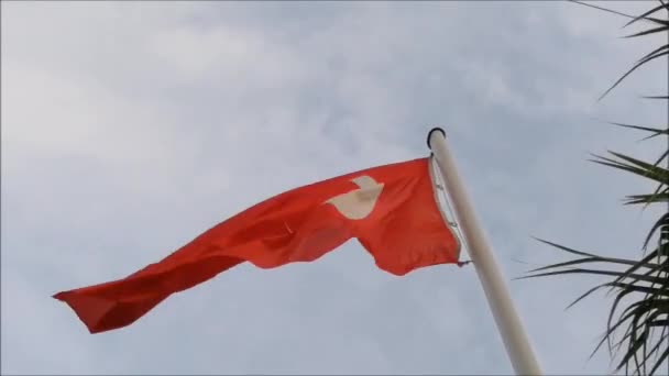 Rot Weiße Flagge Der Türkei Weht Wind — Stockvideo