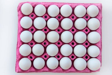 taze ve organik yumurtalar