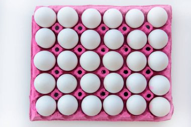 taze ve organik yumurtalar