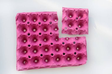 taze ve organik yumurtalar