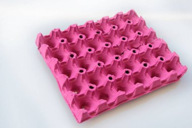 taze ve organik yumurtalar