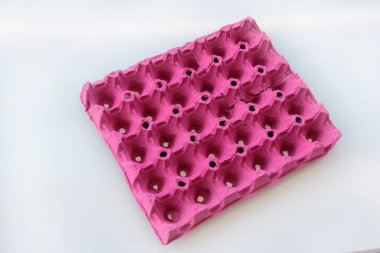 taze ve organik yumurtalar