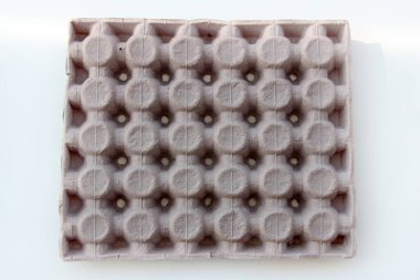 taze ve organik yumurtalar