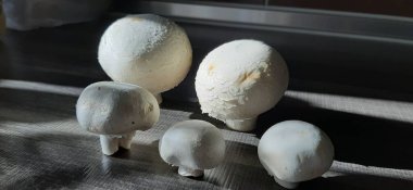 taze ve organik lezzetli mantarlar.