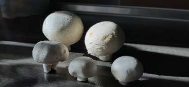 taze ve organik lezzetli mantarlar.