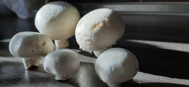 taze ve organik lezzetli mantarlar.