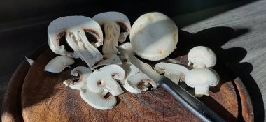 taze ve organik lezzetli mantarlar.