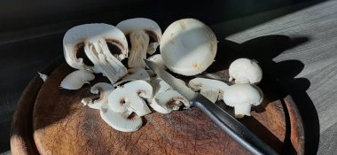 taze ve organik lezzetli mantarlar.