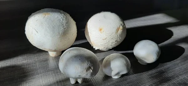 Champignons Frais Biologiques Délicieux — Photo