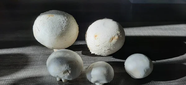 新鲜和有机的美味蘑菇 — 图库照片