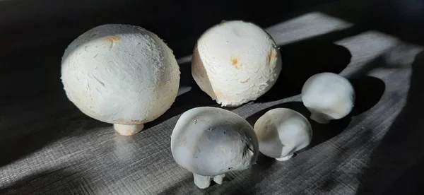 Funghi Freschi Biologici Deliziosi — Foto Stock