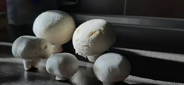 Champignons Frais Biologiques Délicieux — Photo