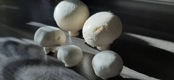 Champignons Frais Biologiques Délicieux — Photo