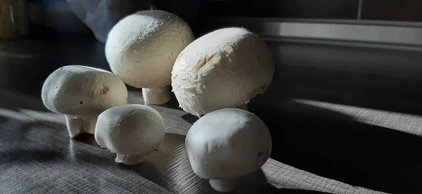 Verse Biologische Heerlijke Champignons — Stockfoto