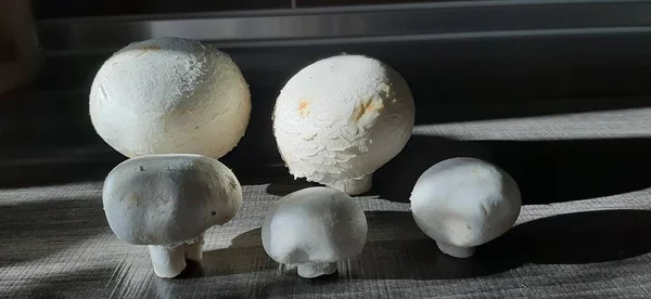Cogumelos Deliciosos Frescos Orgânicos — Fotografia de Stock