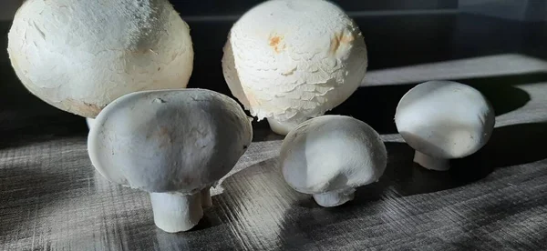 新鲜和有机的美味蘑菇 — 图库照片