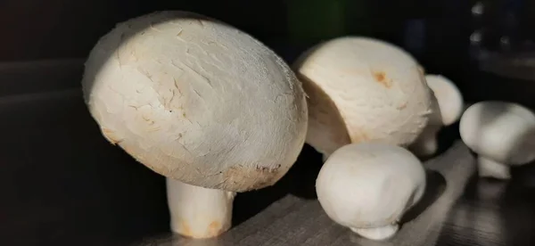 Funghi Freschi Biologici Deliziosi — Foto Stock