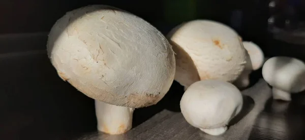 Funghi Freschi Biologici Deliziosi — Foto Stock