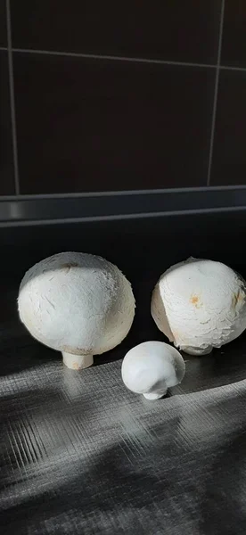 Champignons Frais Biologiques Délicieux — Photo