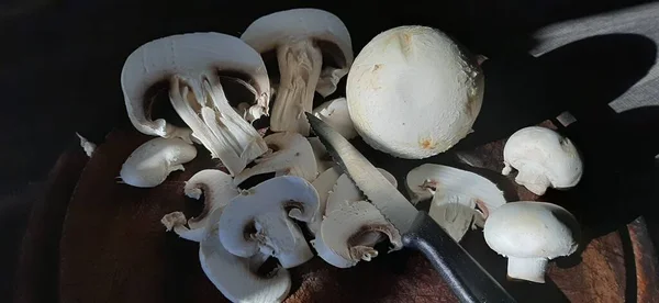 Fresh Organic Delicious Mushrooms — Stock Photo, Image
