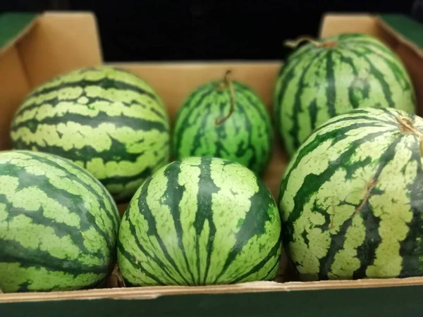 Melon Eau Frais Bio Délicieux — Photo