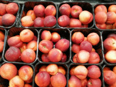čerstvé a organické lahodné jablko bohaté na vitamíny