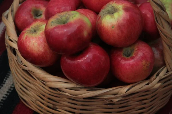 Fresh Organic Delicious Vitamin Rich Apple — Stock Photo, Image
