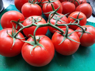 taze ve organik kırmızı domatesler