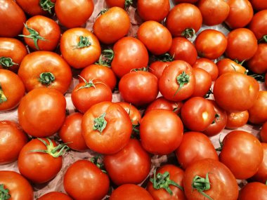 taze ve organik kırmızı domatesler