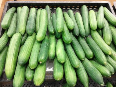 taze ve organik lezzetli salatalık