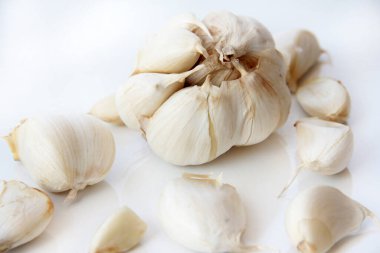 taze ve organik vitamin sebzeleri